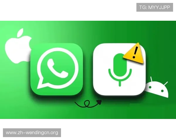 问鼎国际官网版app常见故障排查与技术支持服务详解