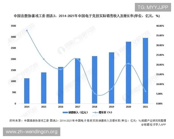 问鼎电子游戏成为行业领袖的必经之路与未来发展趋势分析